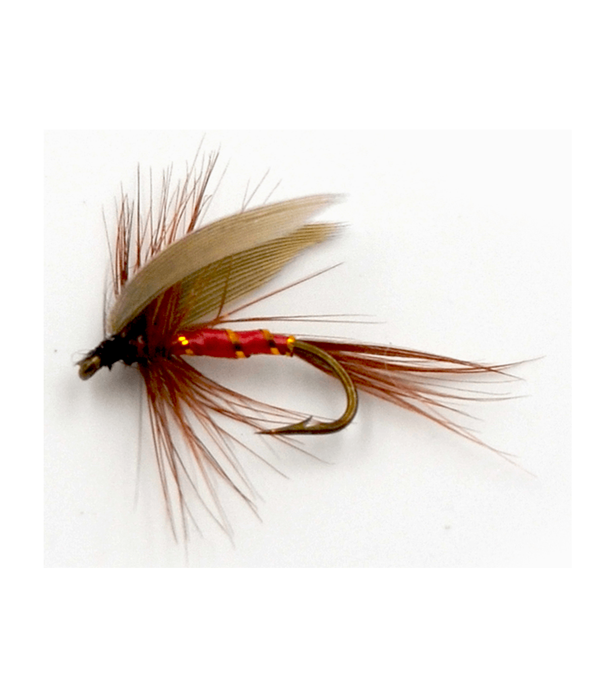 Whip Fly Fishing Lure - Grizzly Ridge